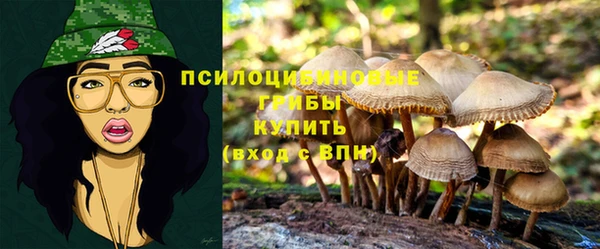 герыч Нефтекумск