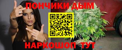 крисы Гусев