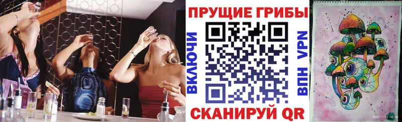 Галлюциногенные грибы Psilocybine cubensis  OMG вход  Кыштым 