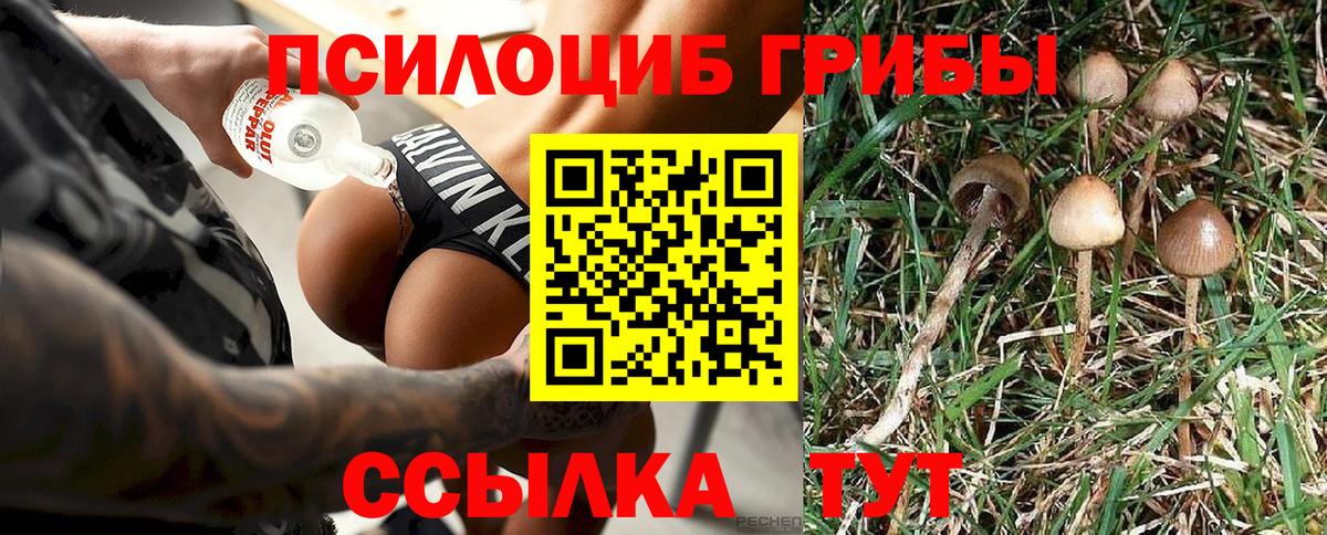 Кыштым  Галлюциногенные грибы мухоморы  Вход с VPN 